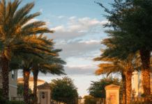 Part III — When Solidarity Turns Against the People A photograph of the entrance to a sunny, upscale gated community featuring a closed metal gate flanked by two large stone and stucco pillars. The driveway is paved with brick, and tropical palm trees line both sides of the entrance, illuminated by warm, late-afternoon sunlight.